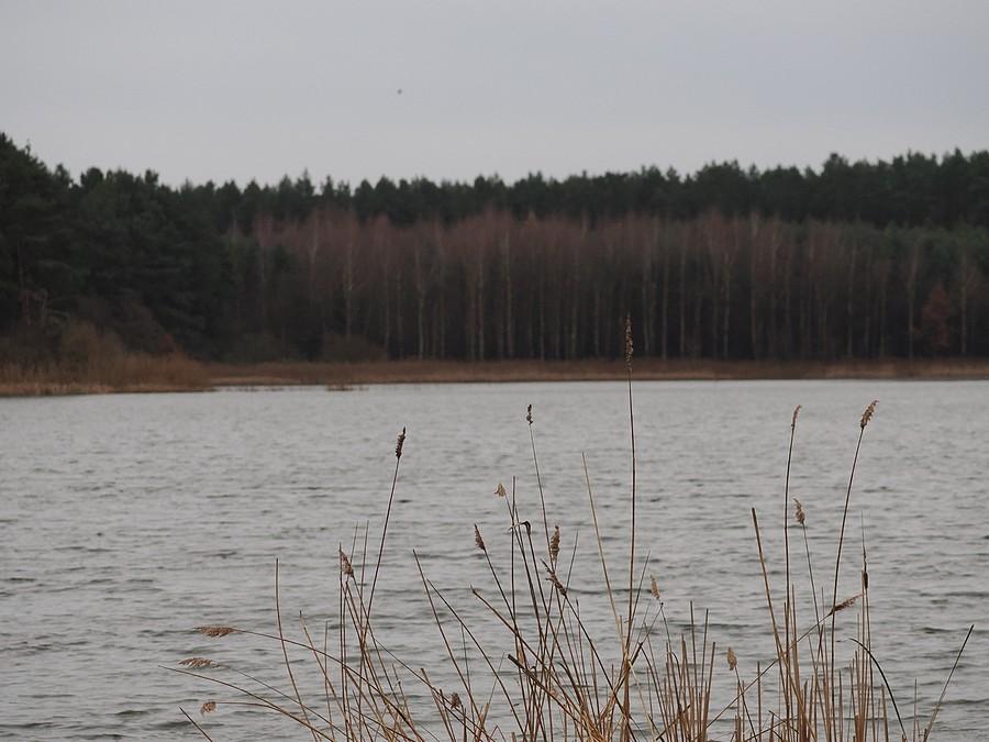 Staw Ośniański