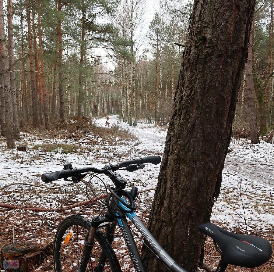 Miejscami trochę błota, trochę mokrego śniegu