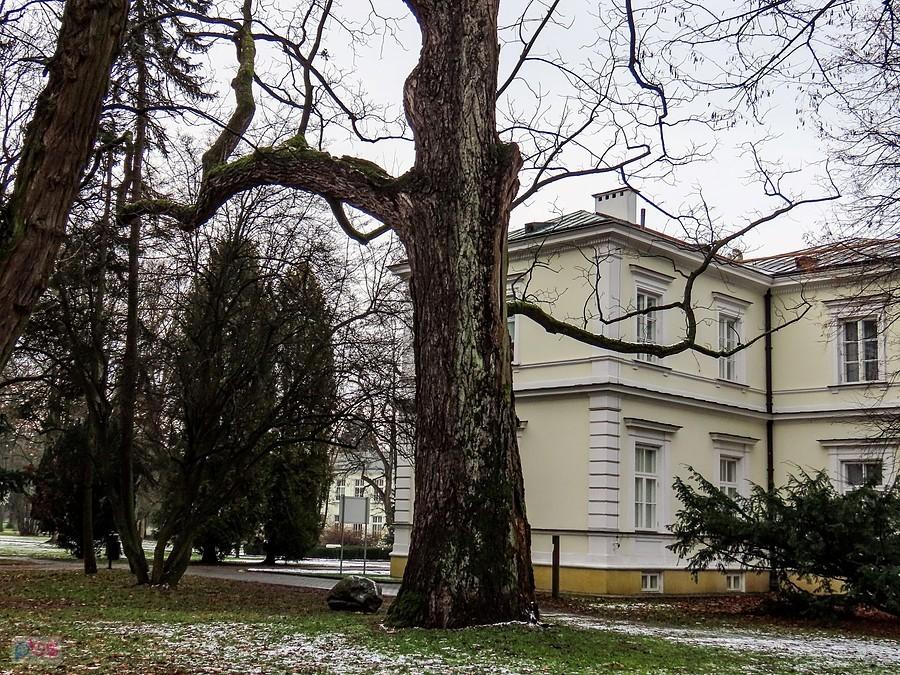 Strażnik Pałacu Krasińskich