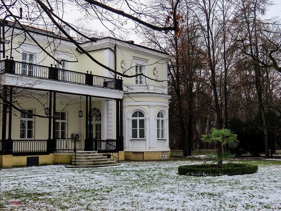 Od strony ogrodowej pałacu, wyrosła palma