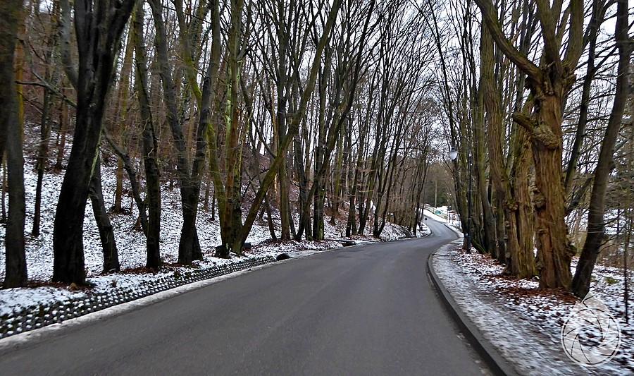mroczną pół-leśną alejką w stronę Prądnika Korzkiewskiego
