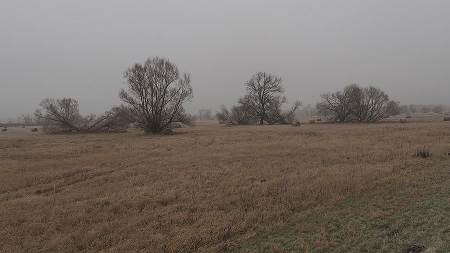 Szarobure łąki pod Krasnym Dłuskiem
