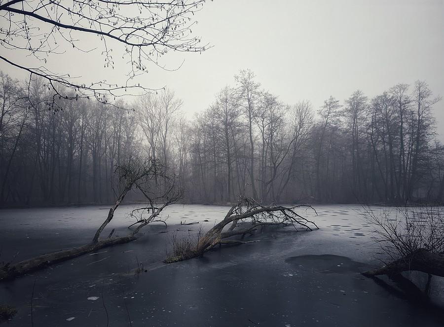 Zamrożony Staw Grundela