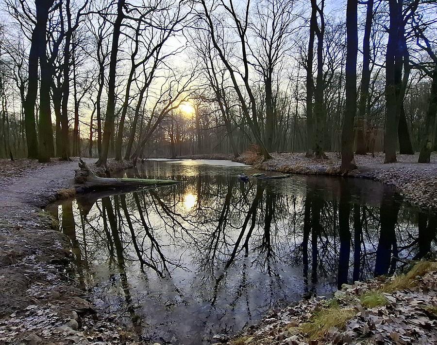 Słońce nad Dębiną