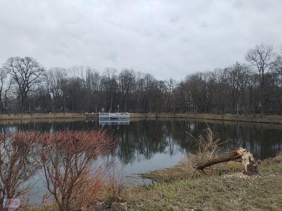 Staw w Ołtarzewie