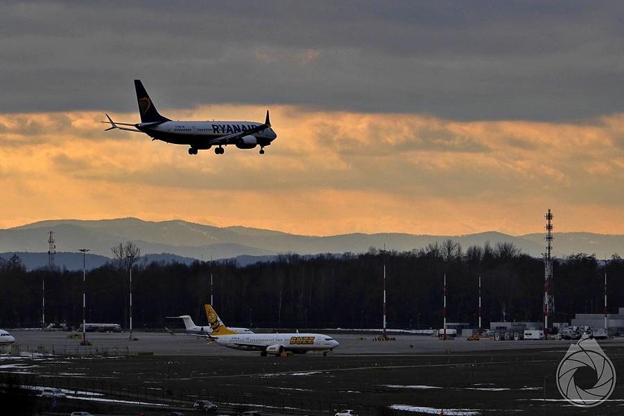 Ryanair codziennie dostarcza nowych Polaków na Balice