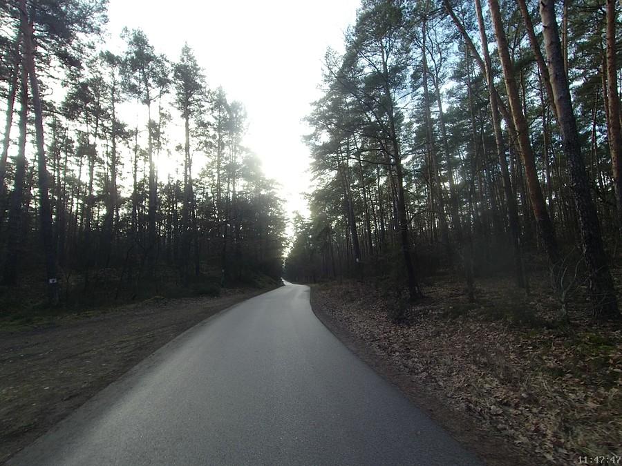 Przez las do Górek