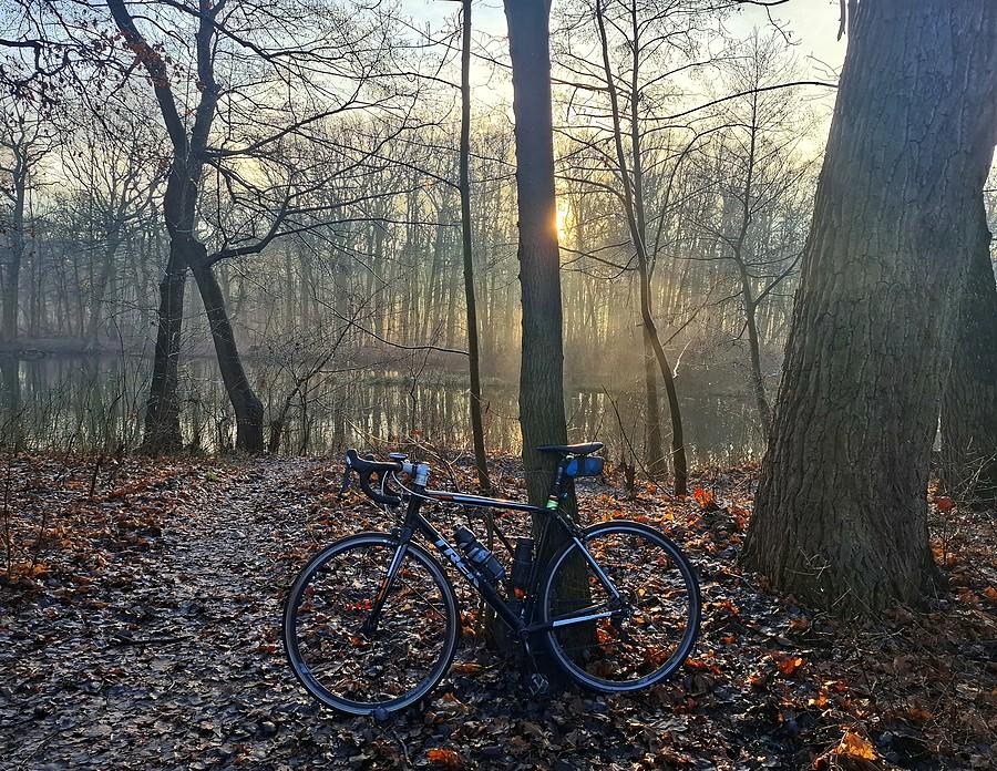 Znów szosą na Dębinie