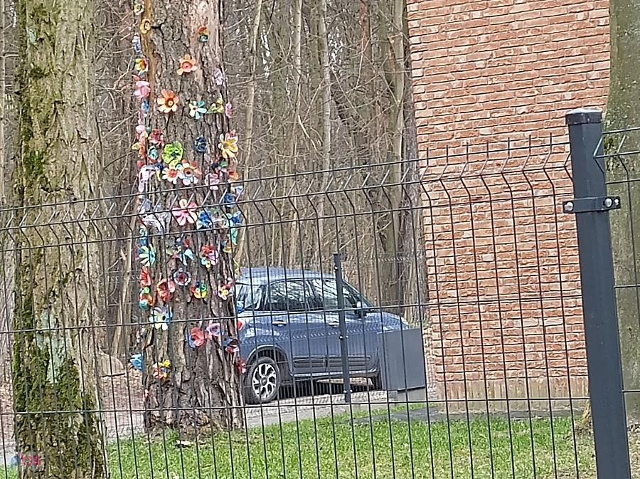 Drzewo z kwiatami