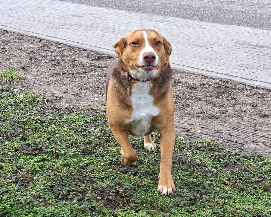 Dawno się nie widzieliśmy :)