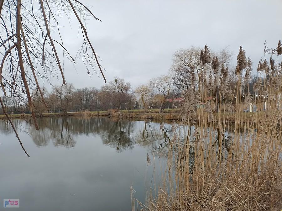 Staw w Zielonkach