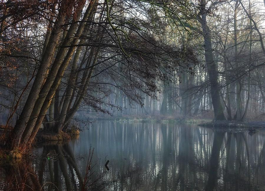 Magia dębińskiego stawu