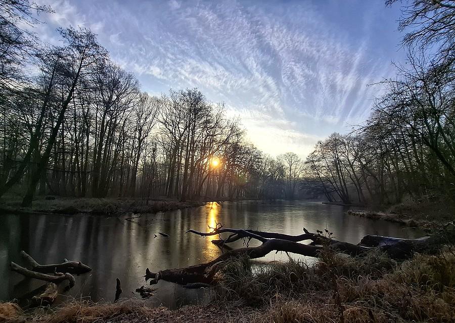 Pięknie zmrożona Dębina