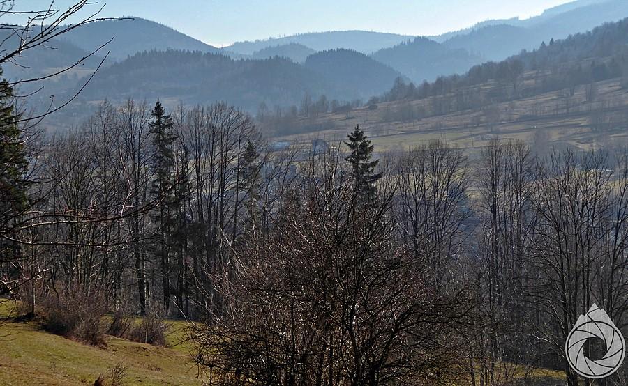 okolice Hali Miziowej późnym popołudniem
