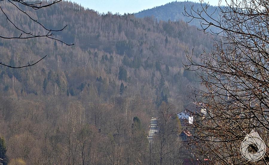 gdzies w drzewach ginie droga na granicę w Korbielowie