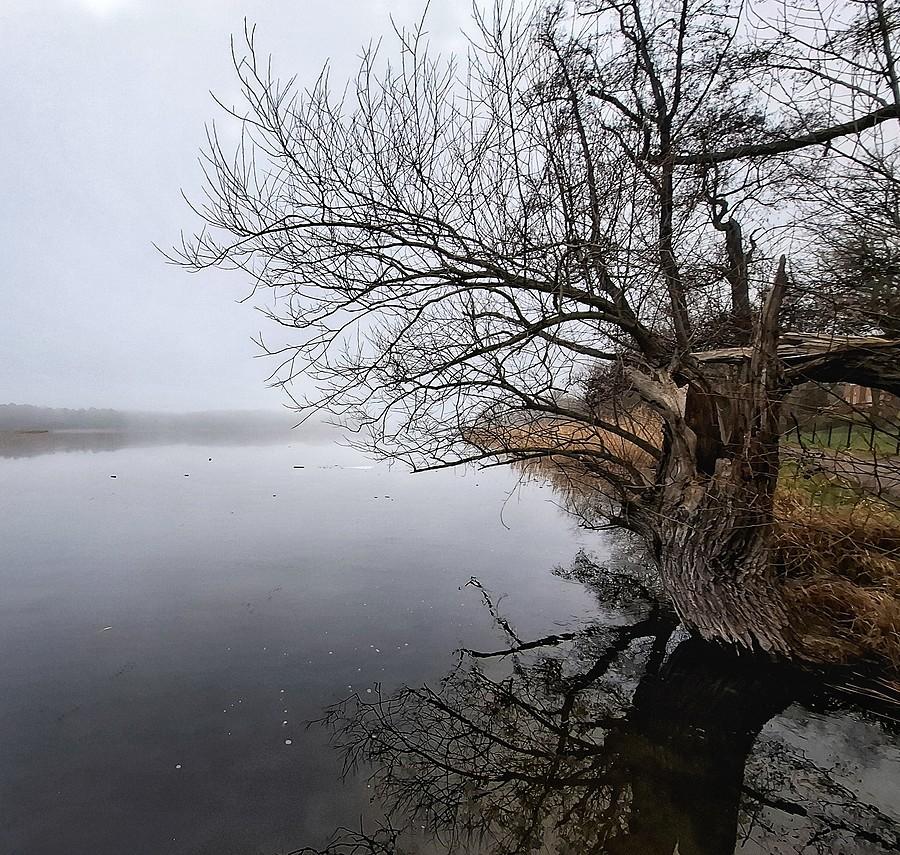 Smętne Jezioro Lusowskie