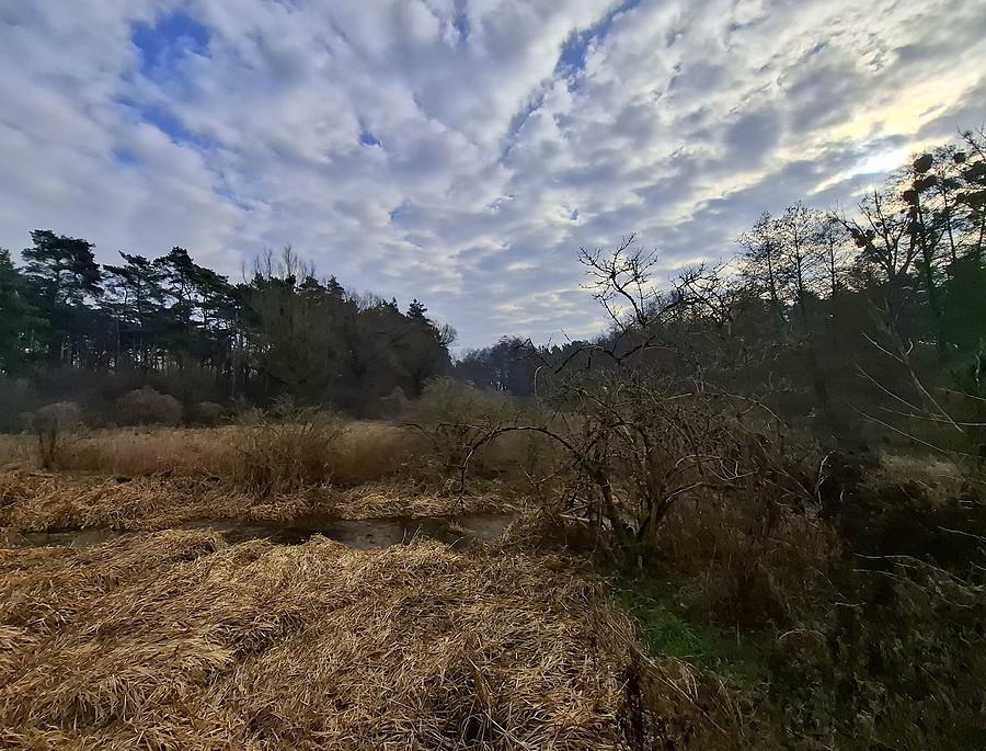 Piękne niebo nad rozlewiskiem