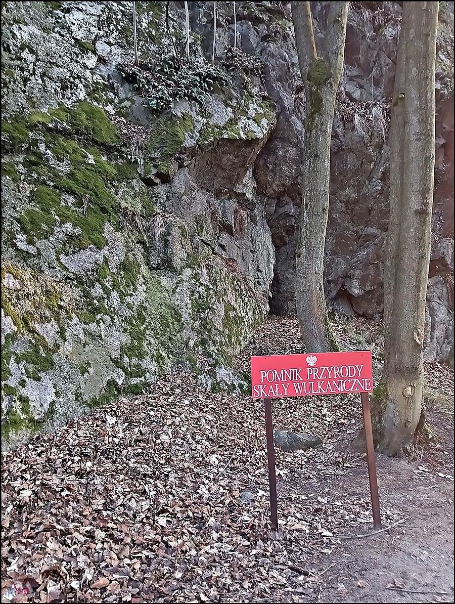 Kolejna do kolekcji