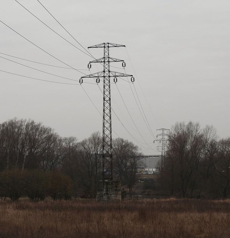 Na tym słupie siedzi pustułka