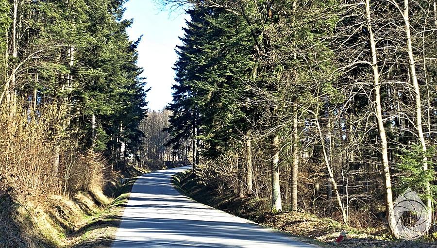 taki tam podjeździć na Połomię