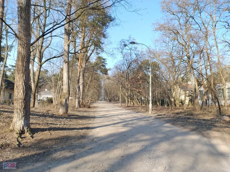 Słonecznie i sucho. Uliczka Kleeberga na Boernerowie