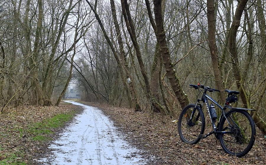 Tu Rowerowy Poznań chce wycinki, czterech metrów asfaltu i Wartostrady. Precz!