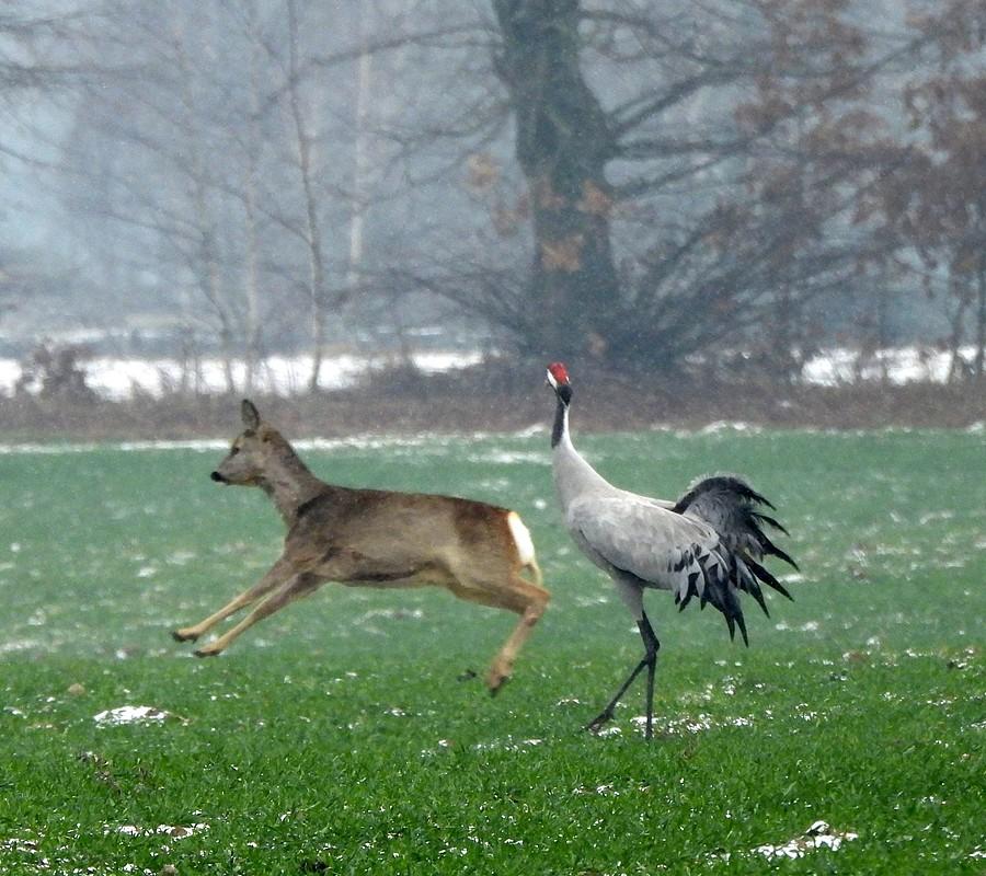 Trenuj młoda, trenuj! :)
