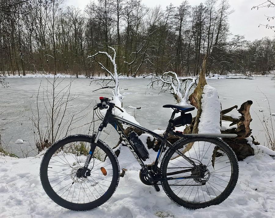 Na białej Dębinie