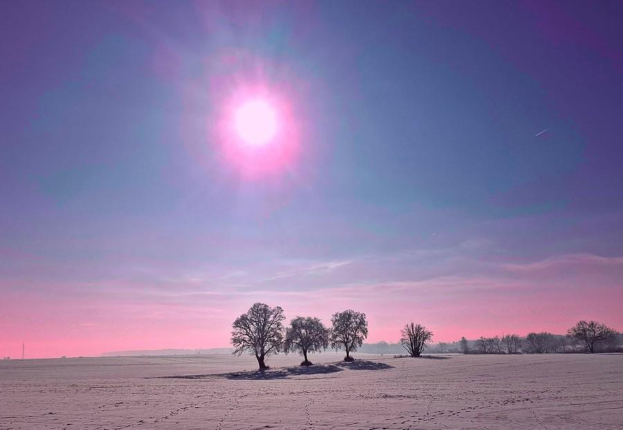 Biało w Lisówkach
