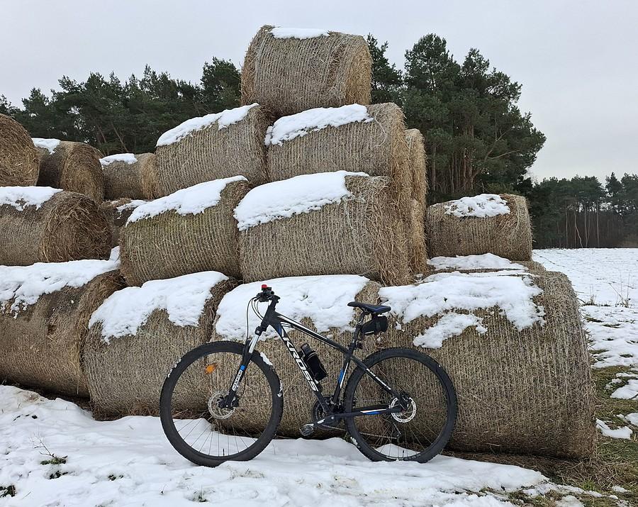 Rowerówka baletowa