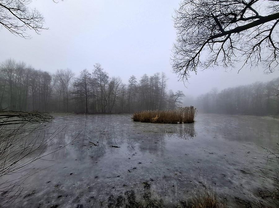 Romrażana Dębina