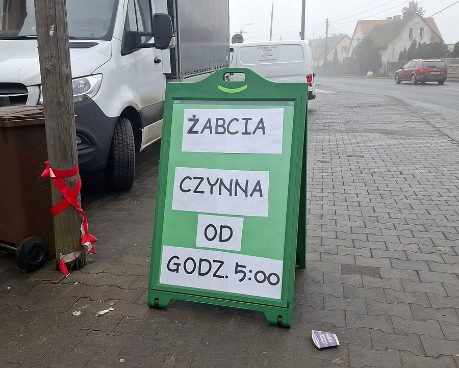 Żabcia czynna :)