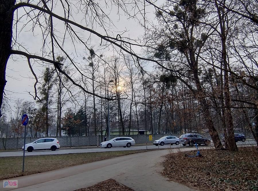 Ulica przy parku jesienią