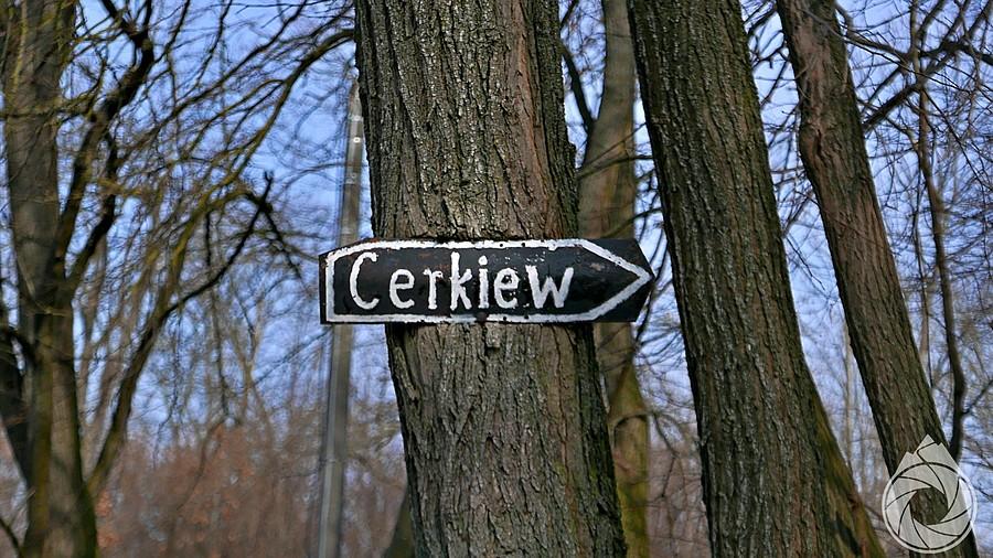 wrośniete w drzewa drogowskazy roztoczańskie