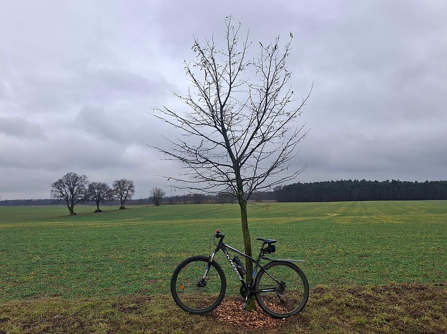 Rowerówka z Lisówek