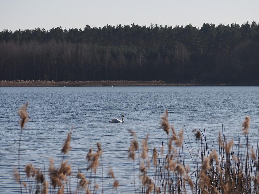 Stawy Ośniańskie