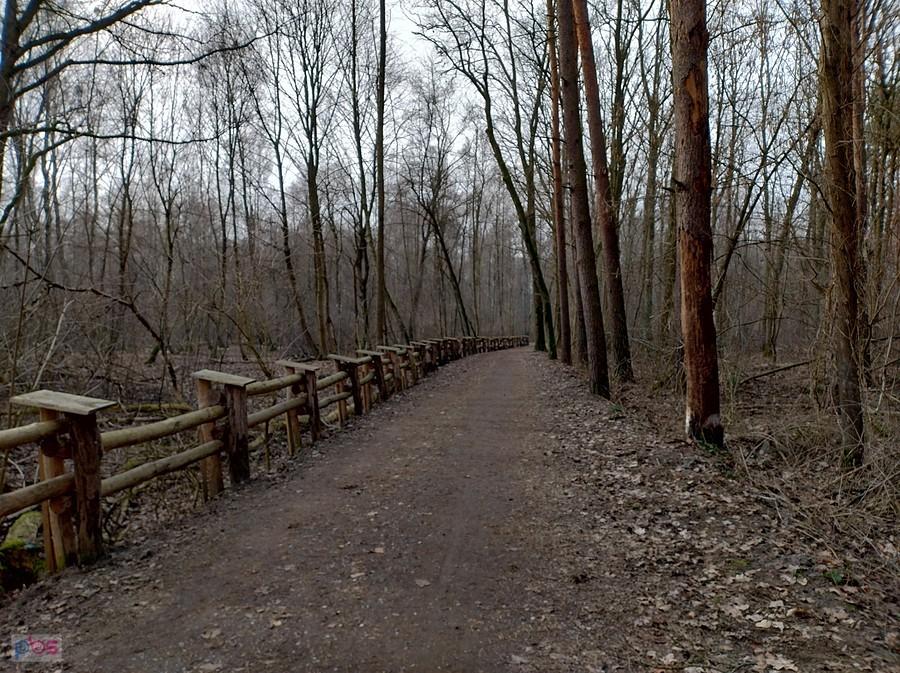 Lubię ten fragment drogi