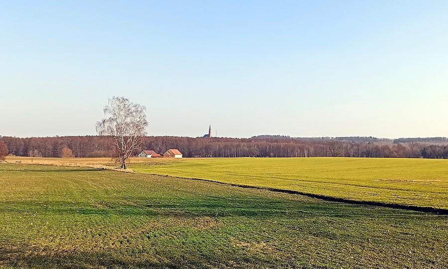 Widok na Kościół w Grodowcu