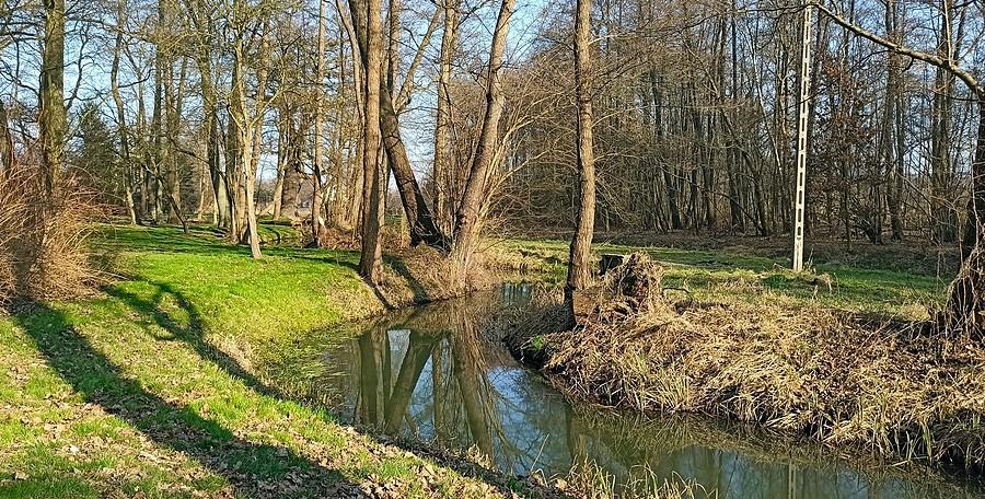 Park w Żukowie