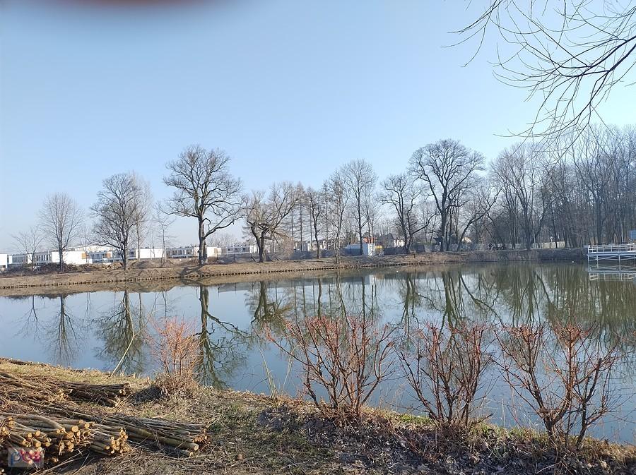 Staw w Ołtarzewie