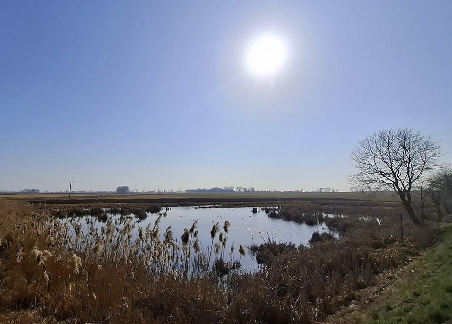 Słońce nad Szczodrzykowem