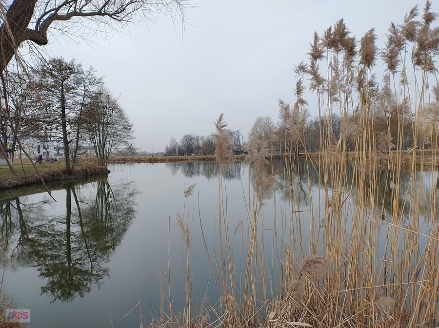 Staw w Zielonkach
