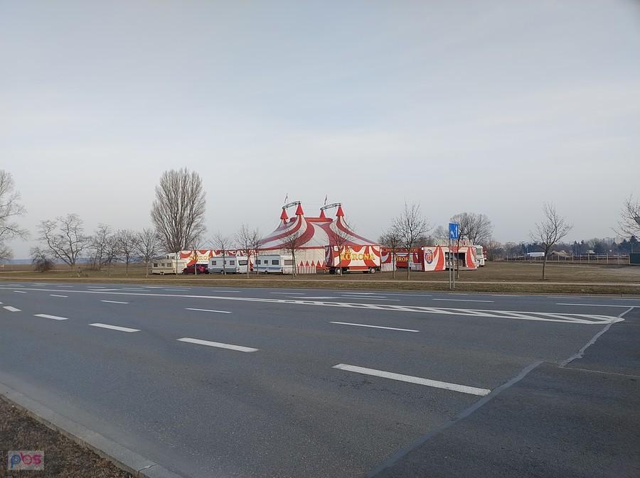 Cyrk przyjechał