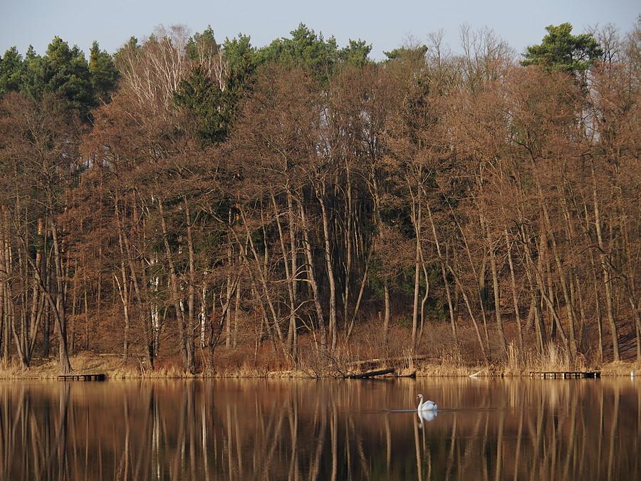 Jezioro Sułek