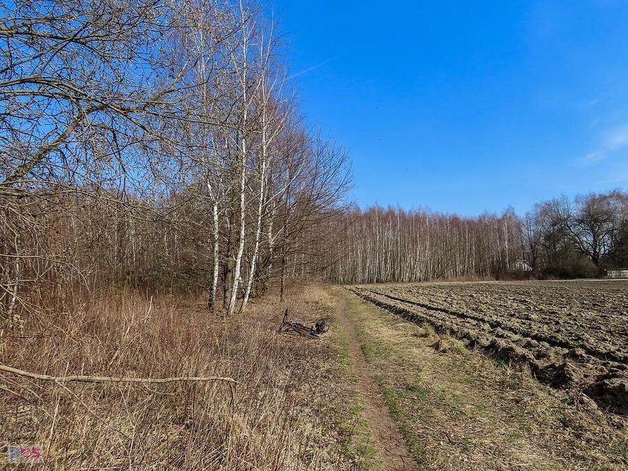 Polny singletrack