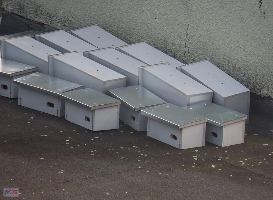 Nowe budki lęgowe dla jerzyków i kawek czekają na montaż