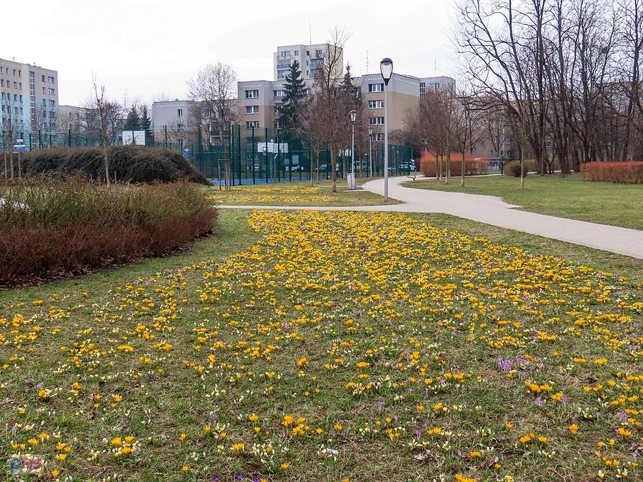 Park Olkówek