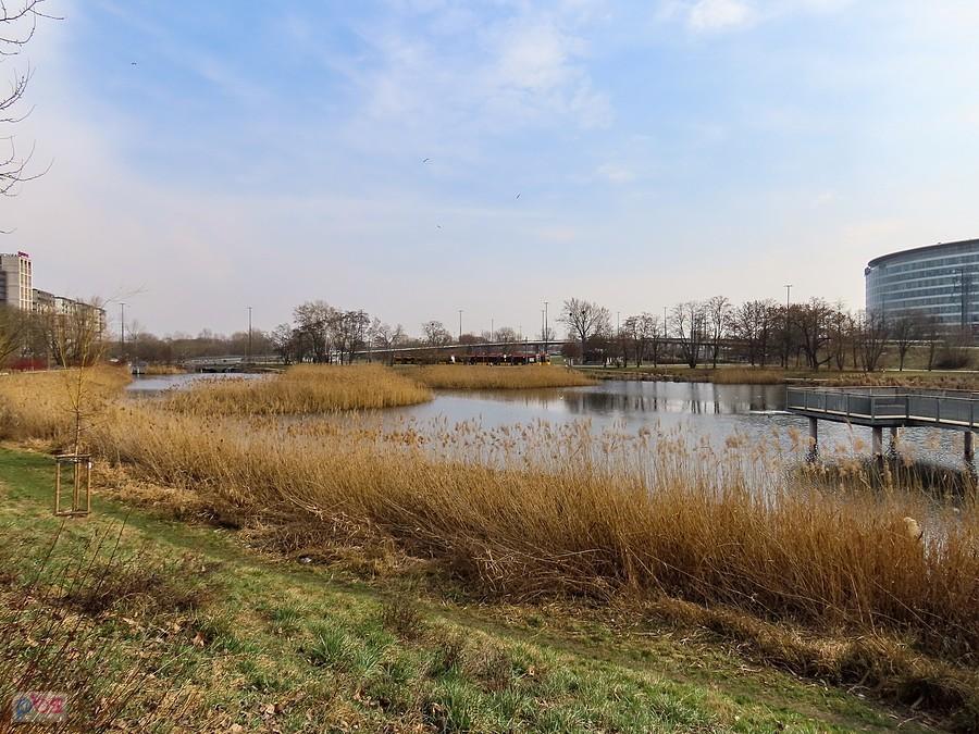 Staw Służewiecki