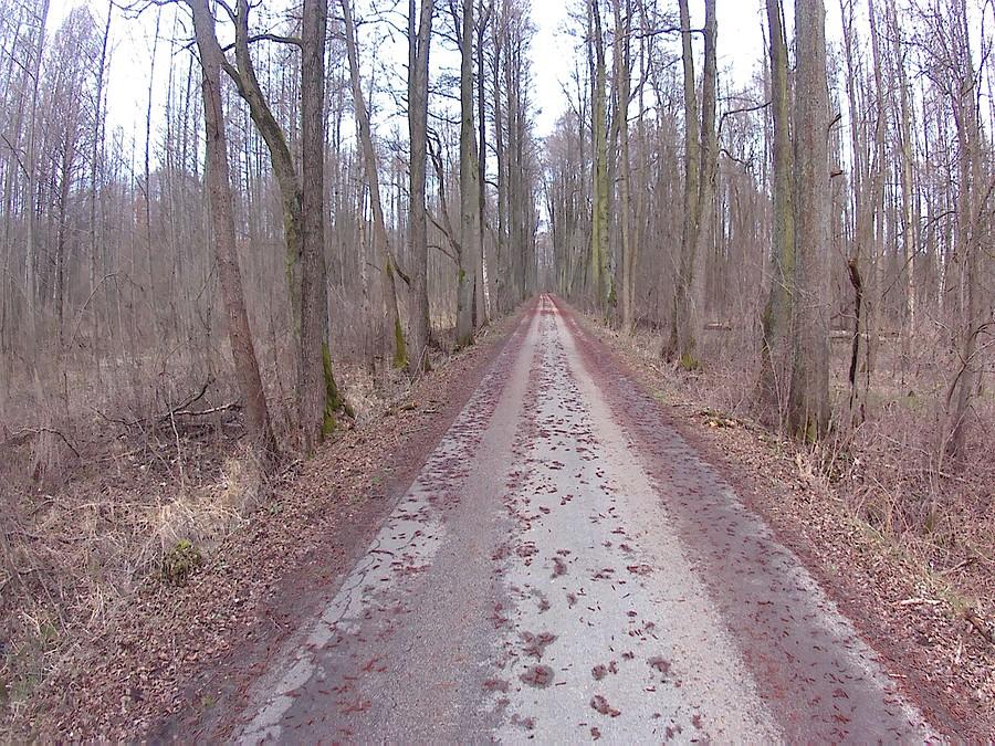 Droga Wiersze - Brzozówka