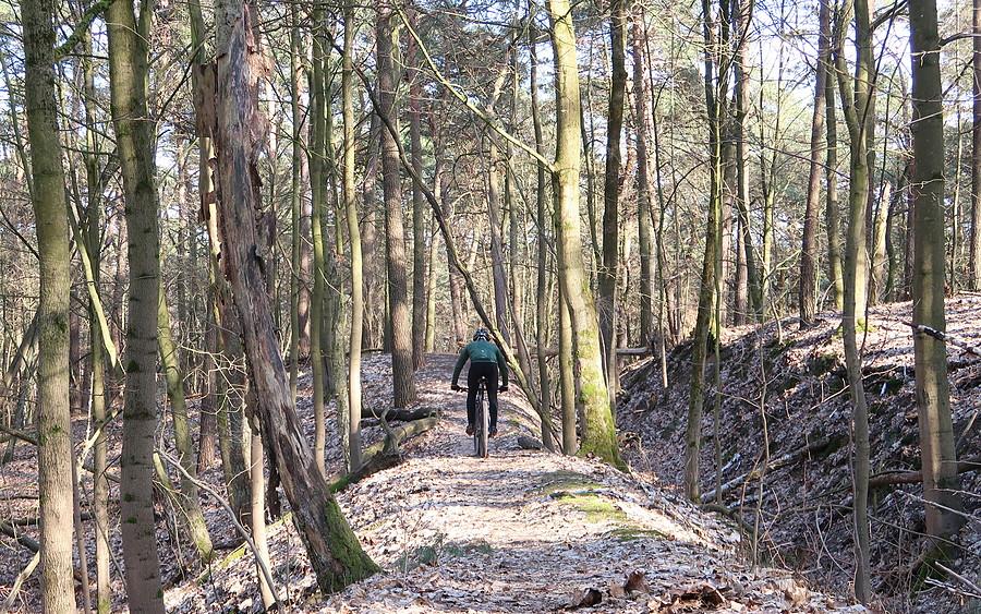 Stary MTB-owiec na swoich równie starych ścieżkach